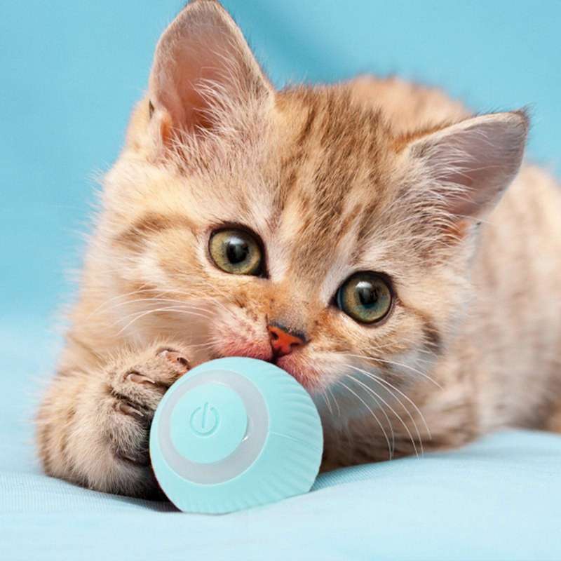 Smartball™   - Bola de Brinquedo Inteligente para Pets